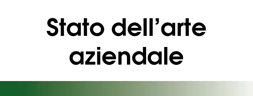 STATO DELL’ARTE AZIENDALE